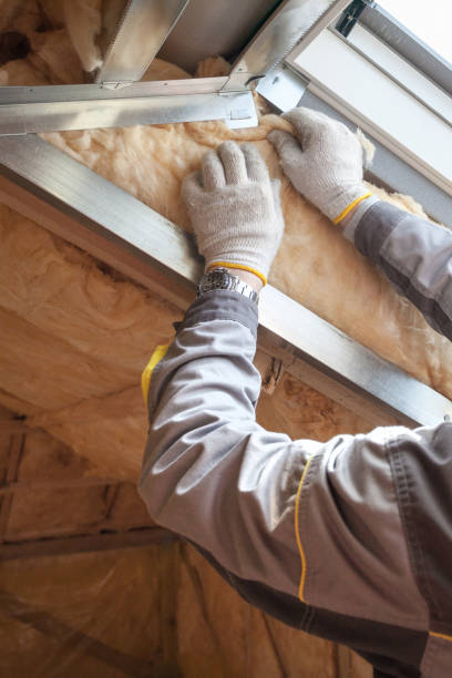 Best Insulation Maintenance and Repair in Bellefontaine, OH